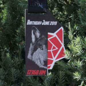 Медаль металева WOLF II Розмір 90х57 мм WOLF II