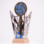 Престижний кубок з металу для чоловічої команди з волейболу КІ6206А H62см