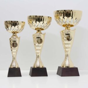 Кубок 5062В для нагородження чаша металева дерев'яна основа h28,5 см