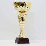 Кубок 5062С для нагородження чаша металева дерев'яна основа h26см