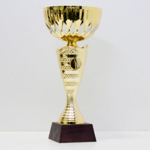 Кубок 5062С для нагородження чаша металева дерев'яна основа h26см