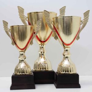 Кубок 5064В Пластикова нагорода чаша з ручками супернагорода h33см