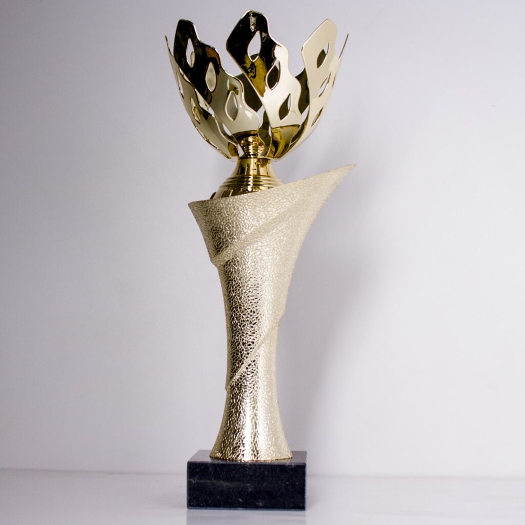 Кубок К1817В універсальний кубок для спортивних та корпоративних заходів h27см