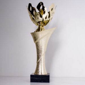 Кубок К1817В універсальний кубок для спортивних та корпоративних заходів h27см