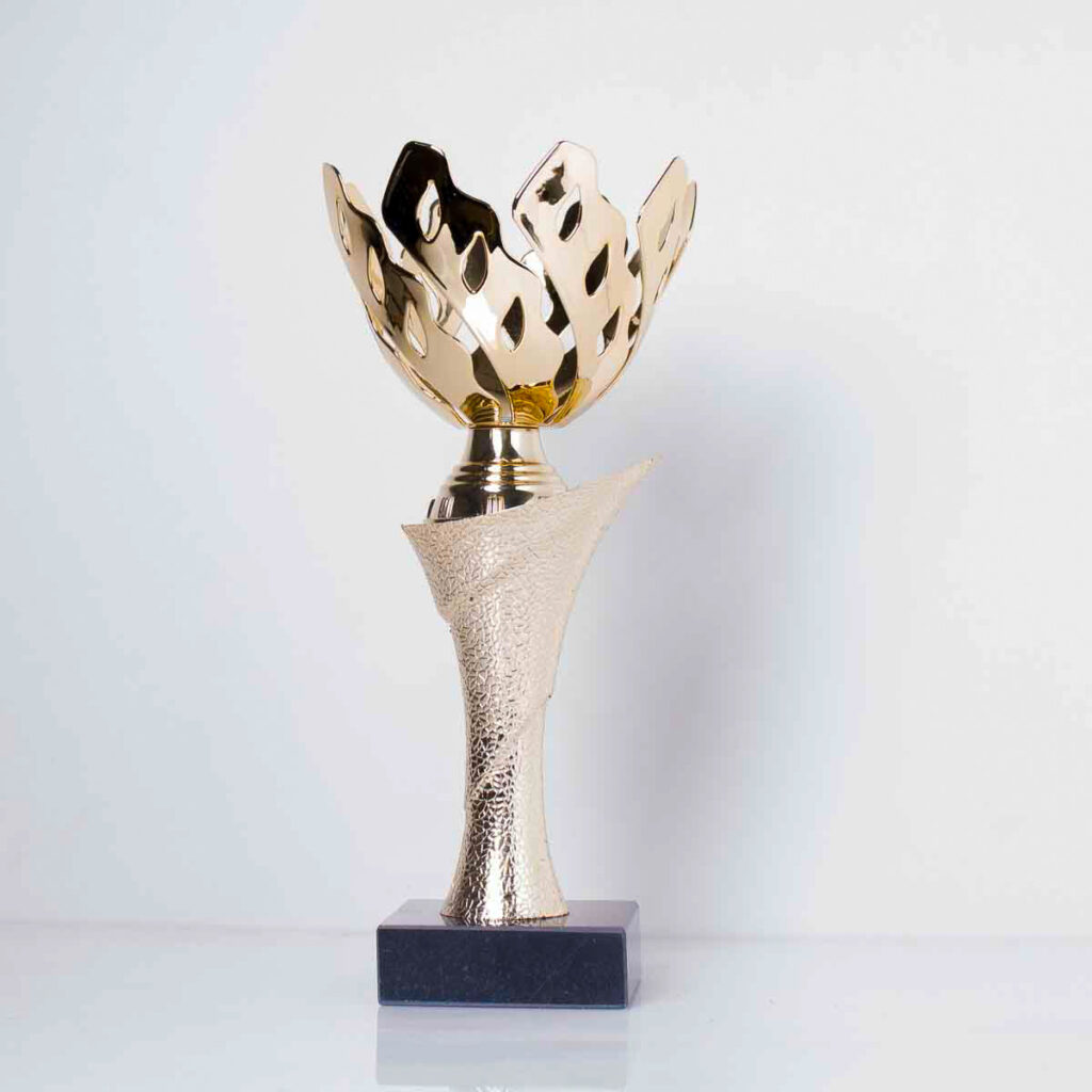 Кубок К1817С універсальний кубок для спортивних та корпоративних заходів h22см