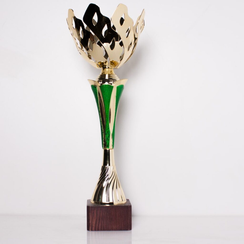 Кубок К1820А спортивна нагорода з незвичайною чашею на дерев'яній основі h37см