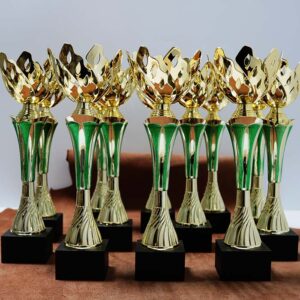 Кубок К1820В спортивна нагорода з незвичайною чашею на дерев'яній основі h32см