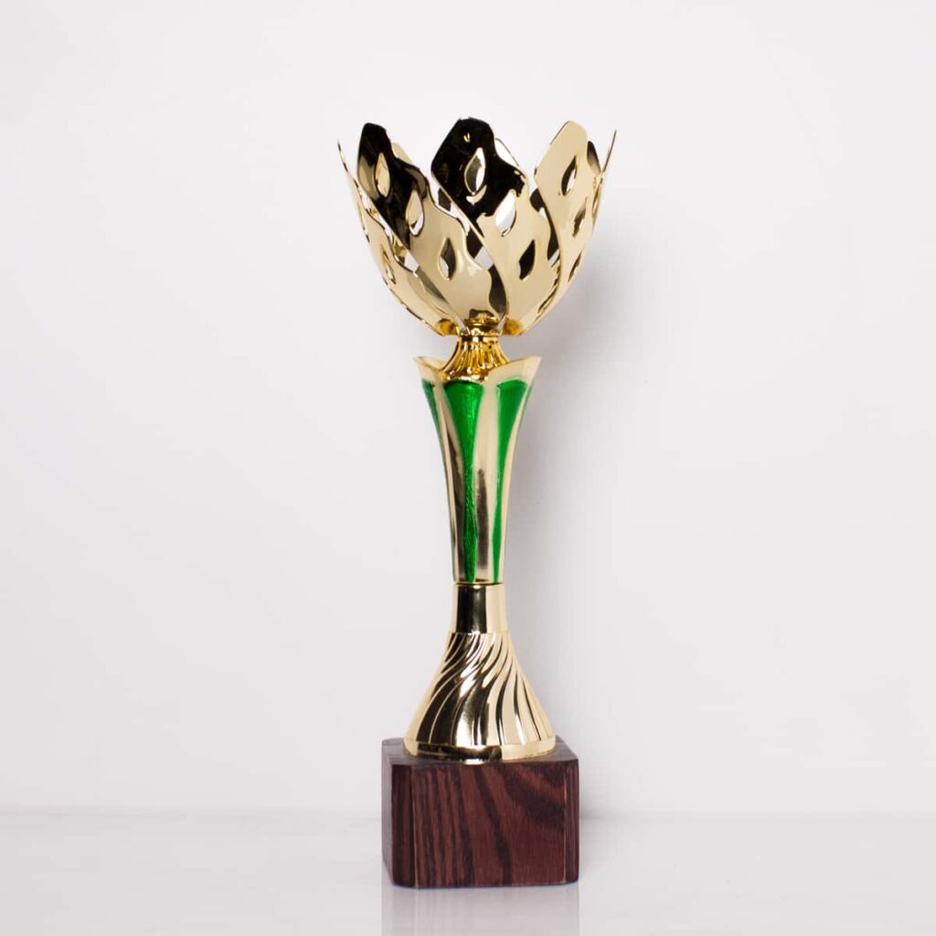 Кубок К1820С спортивна нагорода з незвичайною чашею на дерев'яній основі h25см