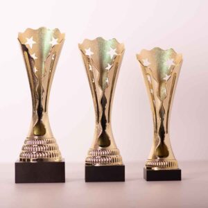 Кубок нагородний 5094А без місця під жетон Висота 30см