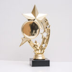 Статуетка Зірка із жетоном 50мм h19см