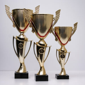 Кубок пластиковий універсальний 5078А h43см