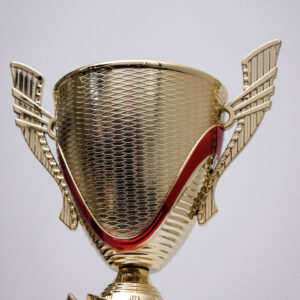 Кубок пластиковий універсальний 5078А h43см