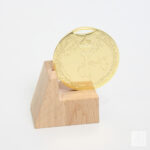 Медаль MA195 Золото D50мм с земным шаром выбитое призовое место тяжелая медаль