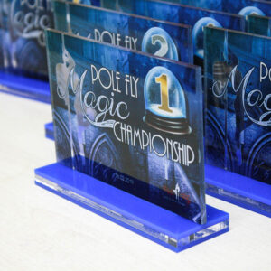 Награда из акрилового стекла POLE FLY