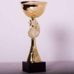 Кубок нагородний 5098А Висота 28см