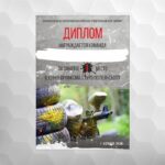 Диплом індивідуальний для нагородження, під замовлення DIA4