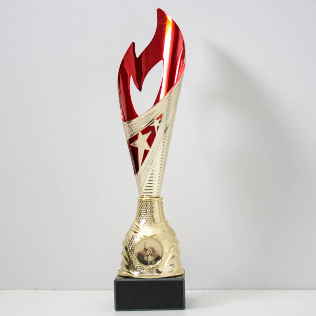 Кубок K5055А невелика нагорода у формі полум'я с жетоном D25мм h29см