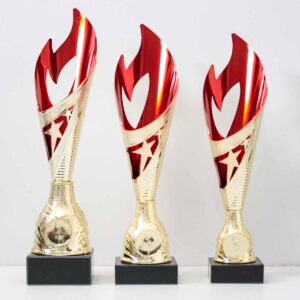 Кубок K5055В невелика нагорода у формі полум'я с жетоном D25мм h27см