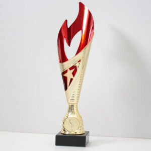 Кубок K5055С невелика нагорода у формі полум'я с жетоном D25мм h26см