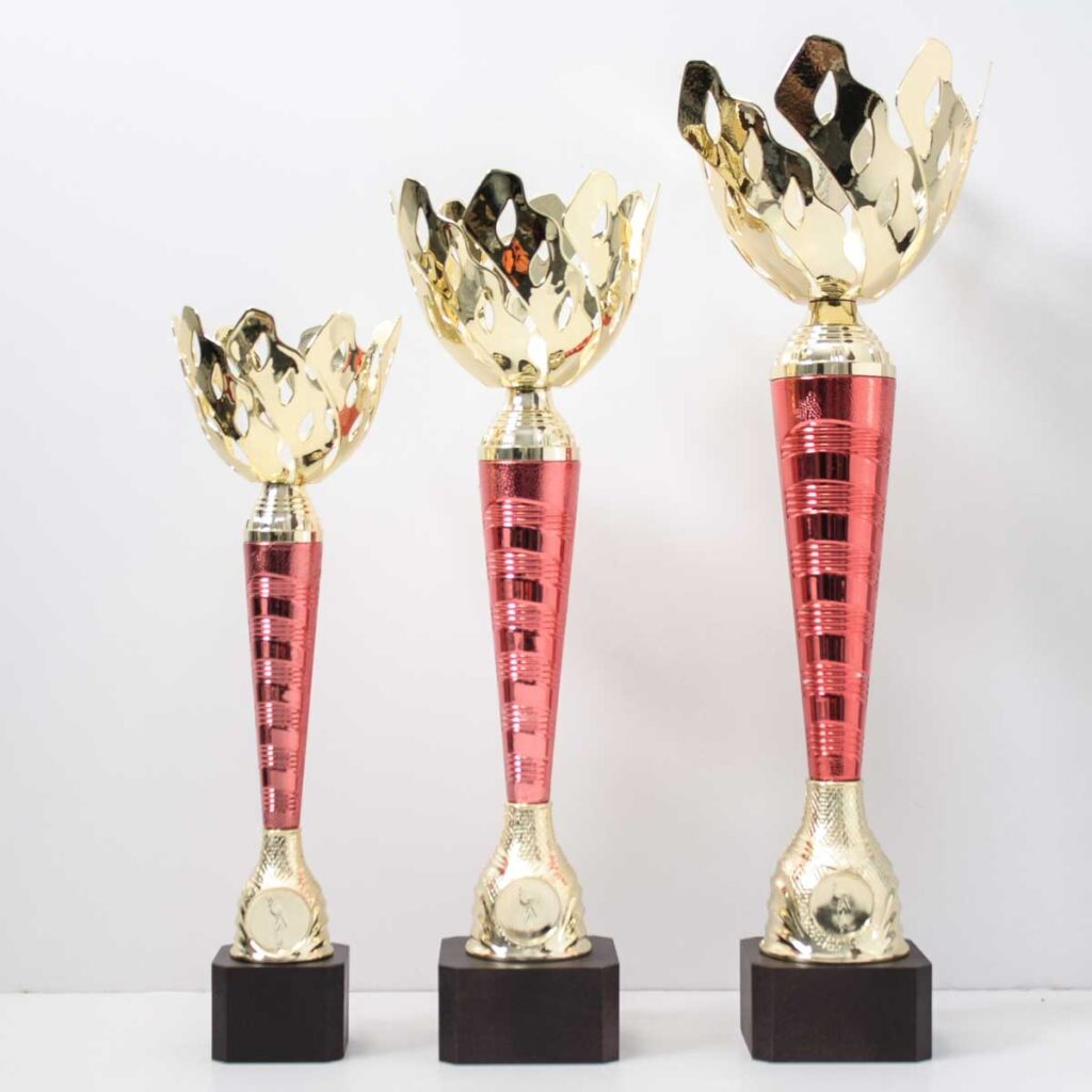 Кубок K5056А універсальний великий високий кубок сучасного дизайну с жетоном D25мм h41см