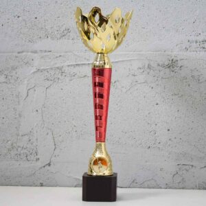 Кубок K5056С - універсальний малий високий кубок сучасного дизайну с жетоном D25мм h31см