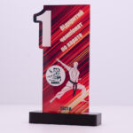 Приз для награждения каратэ БС-008 1 место Высота 22,5 см