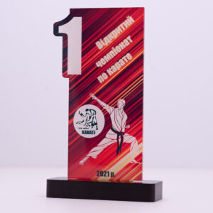 Приз для нагородження карате БС-008 1 місце Висота 22,5 см