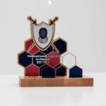 Приз нагородной з фехтування СОТИ