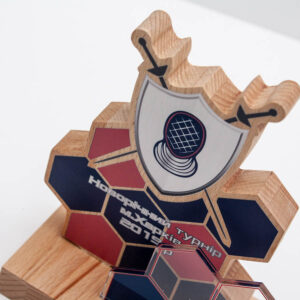 Приз нагородной з фехтування СОТИ