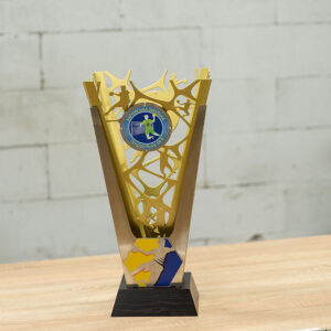 Унікальний кубок для нагородження з Гандболу з гравіюванням з металу КІ5604А