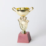 Кубок нагородний Надія пластиковий на дерев'яній підстави місце під жетон D25мм h16,5см