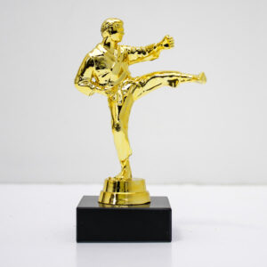 Статуэтка Каратэ h13см