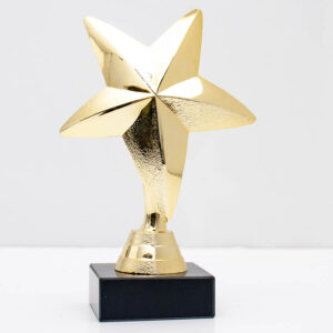 Статуетка Зірка h11см