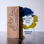 Нагорода з дерева та акрилового скла АКТИВНІ ПАРКИ