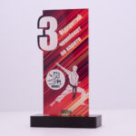 Приз для награждения каратэ БС-008 3 место Высота 22,5 см