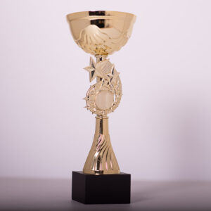 Кубок нагородний 5098В Висота 26см