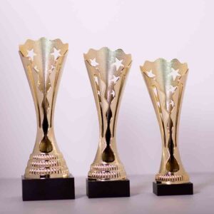 Кубок нагородний 5094В без місця під жетон Висота 28см