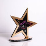 Награда из акрилового стекла со звездой VICTORY