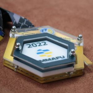 Медаль композітна зі смішаних одноборств ММА  Розмір 90*90мм МКМА1