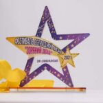 Награда акриловая звездный дождь Высота 16см NAZD16