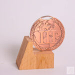 Медаль MA195 Бронза d 50мм з земною кулею вибите призове місце важка медаль