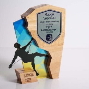 Альпінізм-історія виникнення, розвитку, досягнення. 1 награды для альпинизма