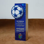 Приз для Чемпионат по мини-футболу h 25см NDAF25