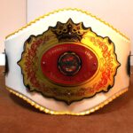 Пояс чемпиона по кикбоксингу WTKA 5м Размер 126х25см PKWTKA512625