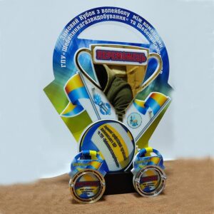 Приз індивідуальний Зимовий Кубок з волейболу Розмір 35х25 NAD35