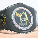 Пояс наградной черный FPKU кикбоксинг К1 АРТПРИЗ PNCHK1