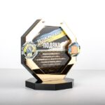 Приз-Подяка індивідуальний змішані єдиноборства ММА Розмір 22,5х24,5см PPZ2224