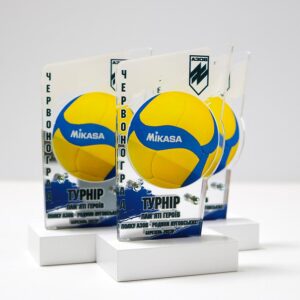 Статуетка-нагорода з волейболу Пам'яті Героїв Полку АЗОВ 15см АРТПРИЗ SNPGPA