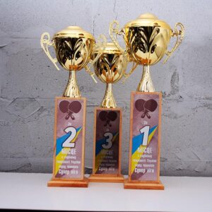 Акробатичний рок-н-рол кубки індивідуальні