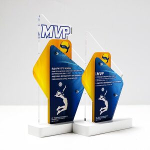 Нагорода з Волейболу акрилова 13х23см АРТПРИЗ NVA1323